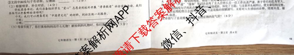 2023-2024学年安徽省七年级教学质量检测(七VII)各科答案及试卷: 含数学(沪科版)、道德与法治、地理试卷解析语文试题