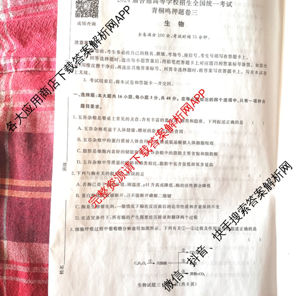 青桐鸣2024年普通高等学校招生全国统一考试青桐鸣押题卷三试卷及答案汇总(含英语(新教材)、理综(新教材)、语文(新教材)等)生物试题 青桐鸣2024年普通高等学校招生全国统一考试青桐鸣押题卷三试卷及答案汇总(含英语(新教材)、理综(新教材)、语文(新教材)等)生物试题