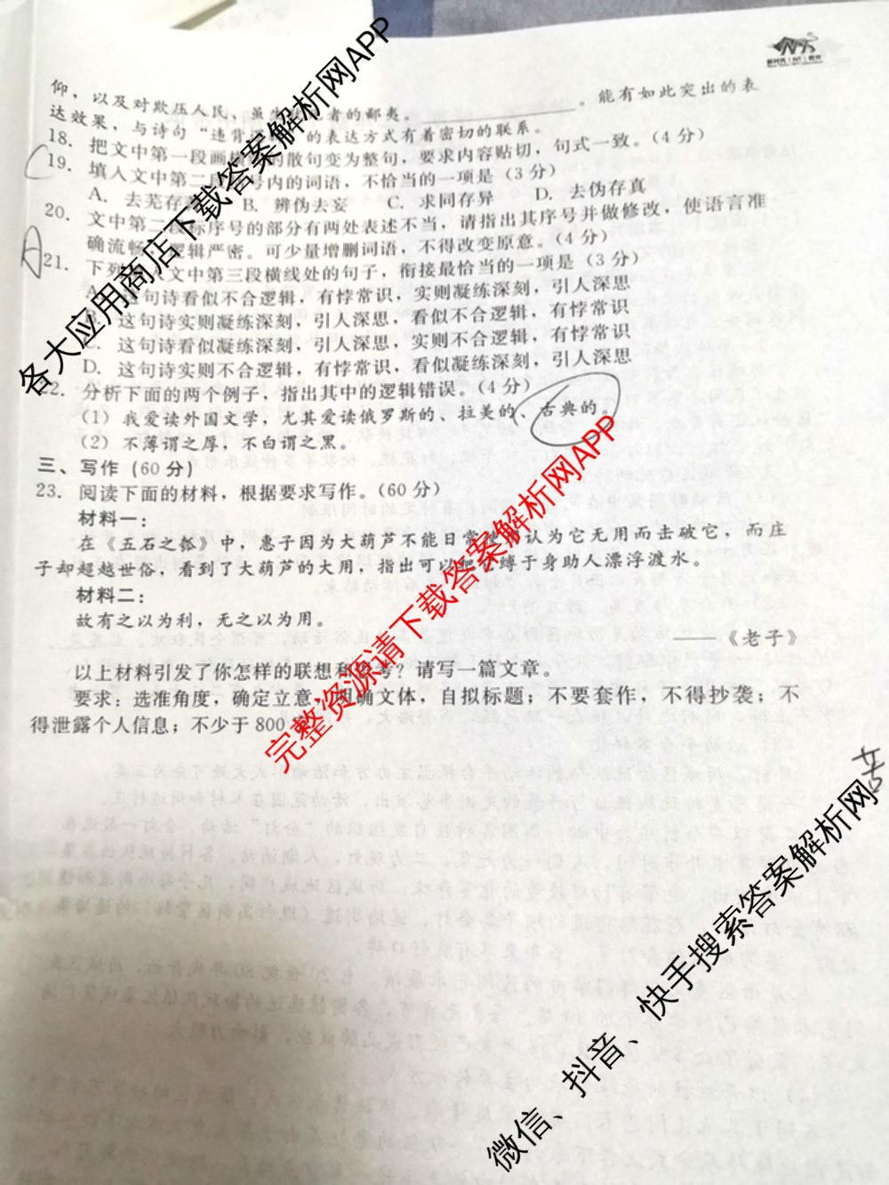 NT河北省2025-2026学年第一学期高二年级11月期中考试各科答案及试卷（含化学、生物、英语等）语文试题