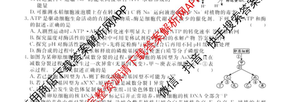 名校联考2026届高三总复月考卷(二)2各科答案及试卷(含语文(XS6G) 化学(XS6J) 历史(XS6J)等)生物试题 名校联考2026届高三总复月考卷(二)2各科答案及试卷(含语文(XS6G) 化学(XS6J) 历史(XS6J)等)生物试题