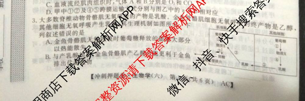 2026普通高等学校招生全国统一考试冲刺押题卷(六)6（含语文 历史 数学(B L)等）生物试题