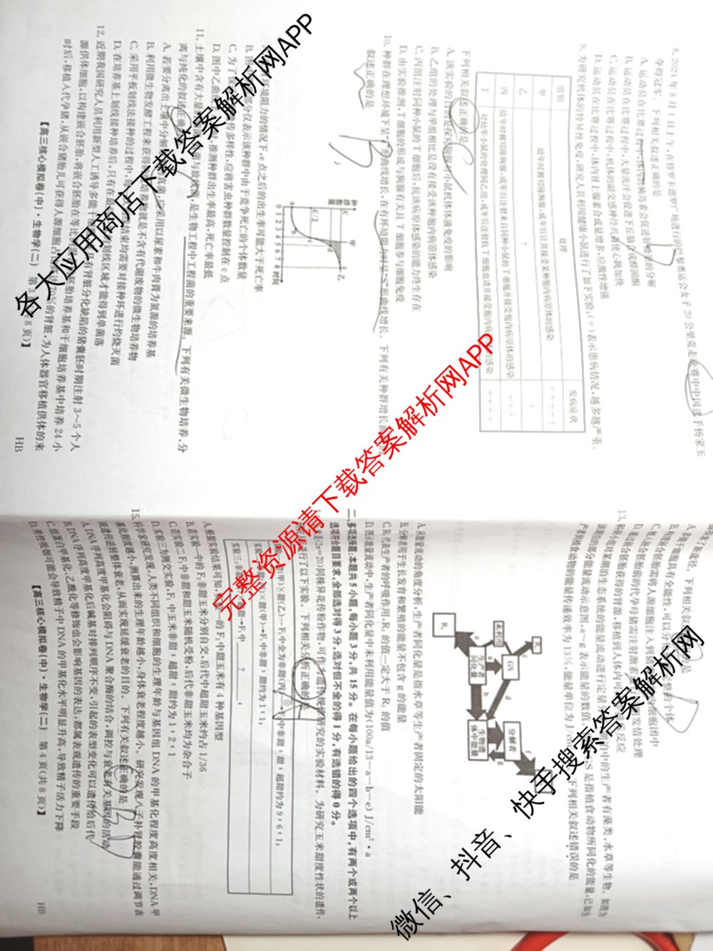 九师联盟2024~2025学年高三核心模拟卷(中)(二)2各科答案及试卷: 含政治(JX) 生物(D1) 生物(HB)试卷解析生物试题