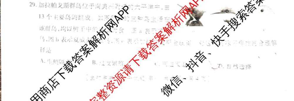 陕西省2024年普通高中学业水合格性考试全真模拟试题(B)(4月)（11科全）生物试题