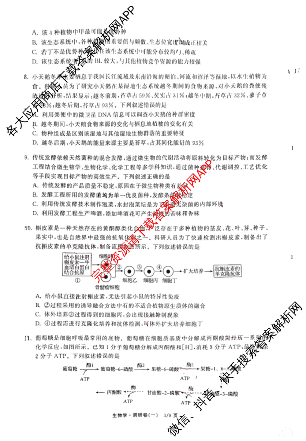 天舟高考衡中同卷2026年普通高等学校招生全国统一考试模拟调研卷(一)1（含化学(JY)、化学(山东版)、语文(A)等）生物试题