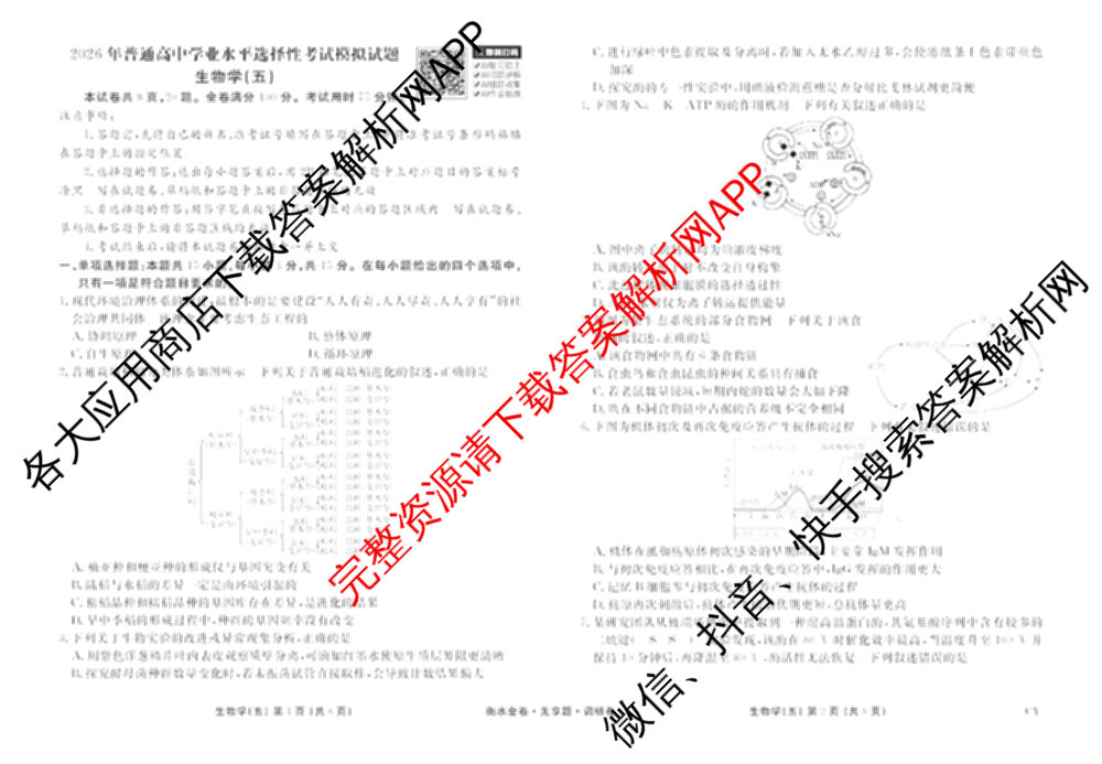 衡水金卷先享题调研卷2026年普通高等学校招生全国统一考试模拟试题(五)5各科答案及试卷（91科全）生物试题