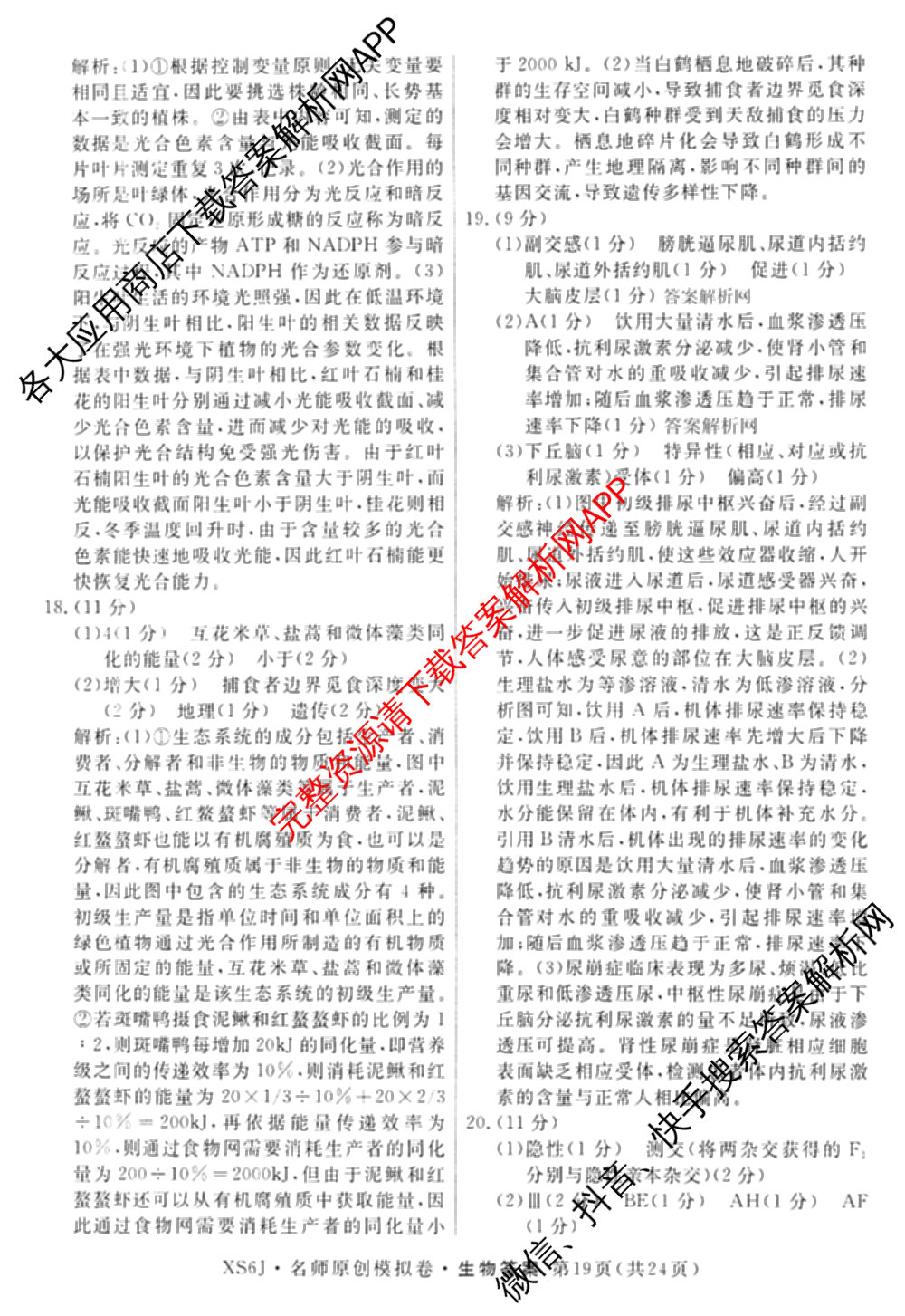 2026届高三总复名师原创模拟(十一)11试卷及答案汇总（含地理(XS6)、政治(CQX6)、政治(新S6JG)等）生物答案