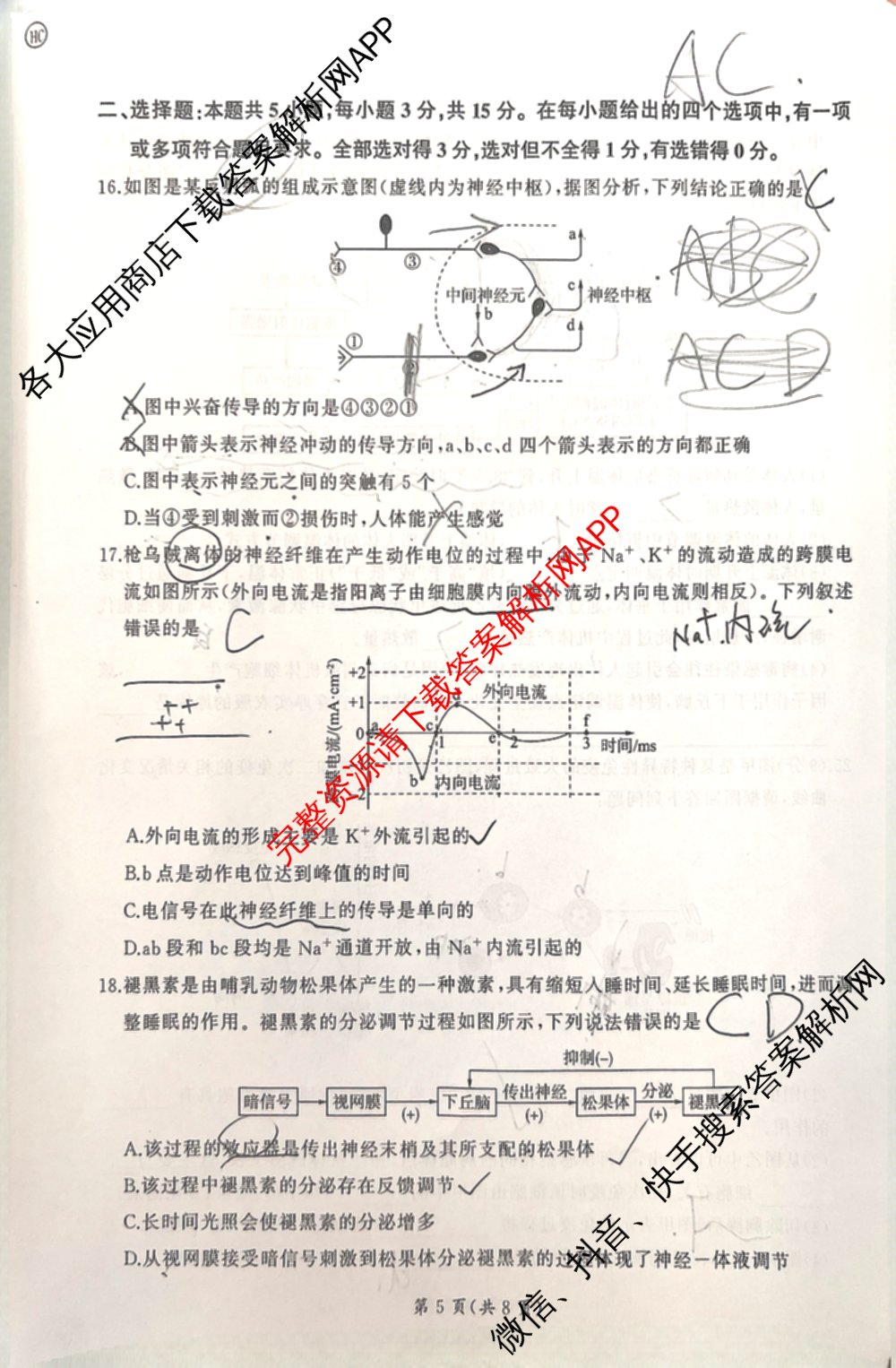 百师联盟2025-2026学年高二11月联考: 含生物(HC)、化学、化学(HC)试卷解析生物试题