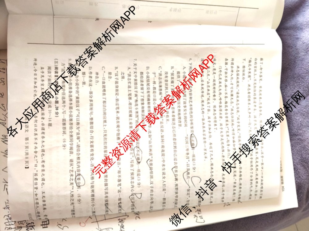 陕西省2025~2026第一学期12月质量检测高二(6192B)（9科全）语文试题