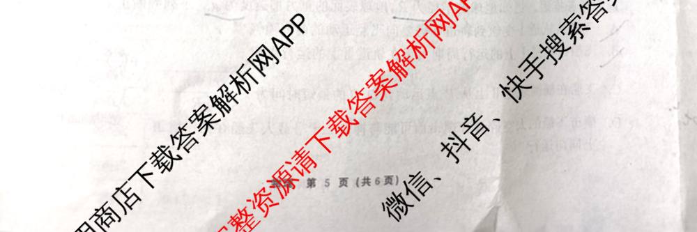 山东省2026届高三12月大联考试卷及答案汇总（9科全）物理试题