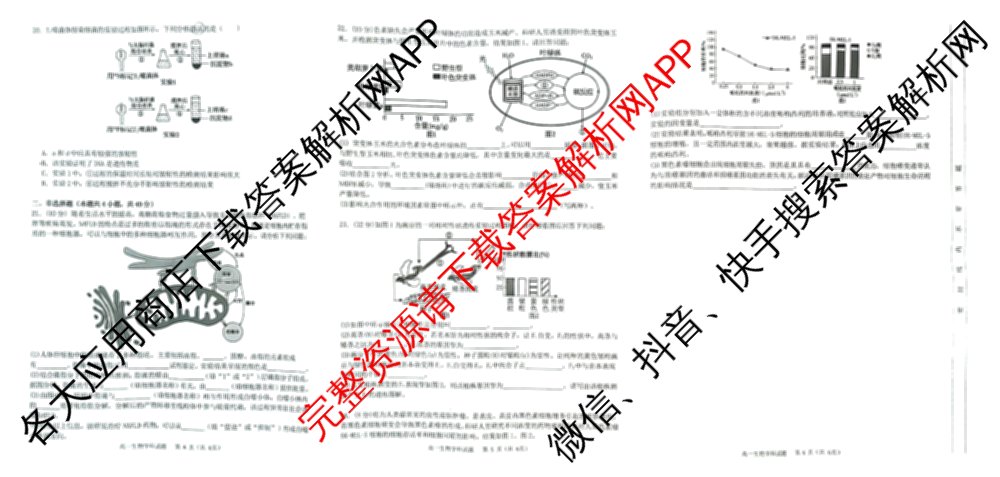 2025学年高一年级第二学期宁波三锋教研联盟期末联考试卷及答案汇总（含化学、生物、历史等9份）生物试题