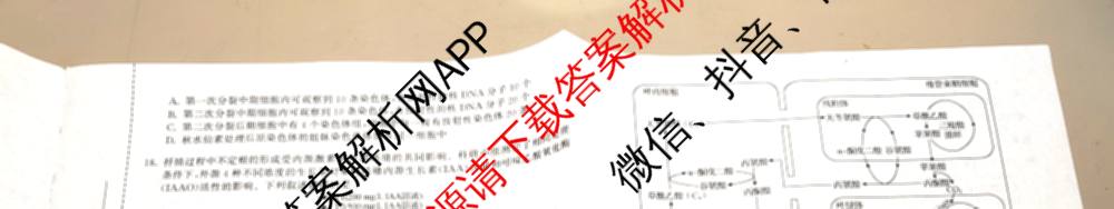 天舟高考衡中同卷2026年普通高等学校招生全国统一考试模拟信息卷(三)3(已更新化学(WG) 地理 生物(WY)等35份)生物试题