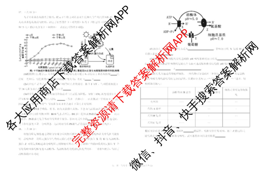 银川一中2026届高三年级第三次月考各科答案及试卷（9科全）生物试题