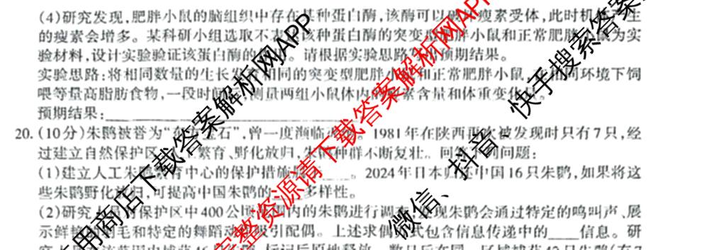 2026年普通高等学校招生统一考试JY高三模拟卷(二)各科答案及试卷（含化学(新高考·A)、政治(新高考·D)、政治(新高考·A)等）生物试题