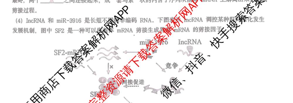 江苏省2025/2026学年度第一学期七校联盟第二次学情检测高三(2025.10)各科答案及试卷（含数学 物理 英语等）生物试题