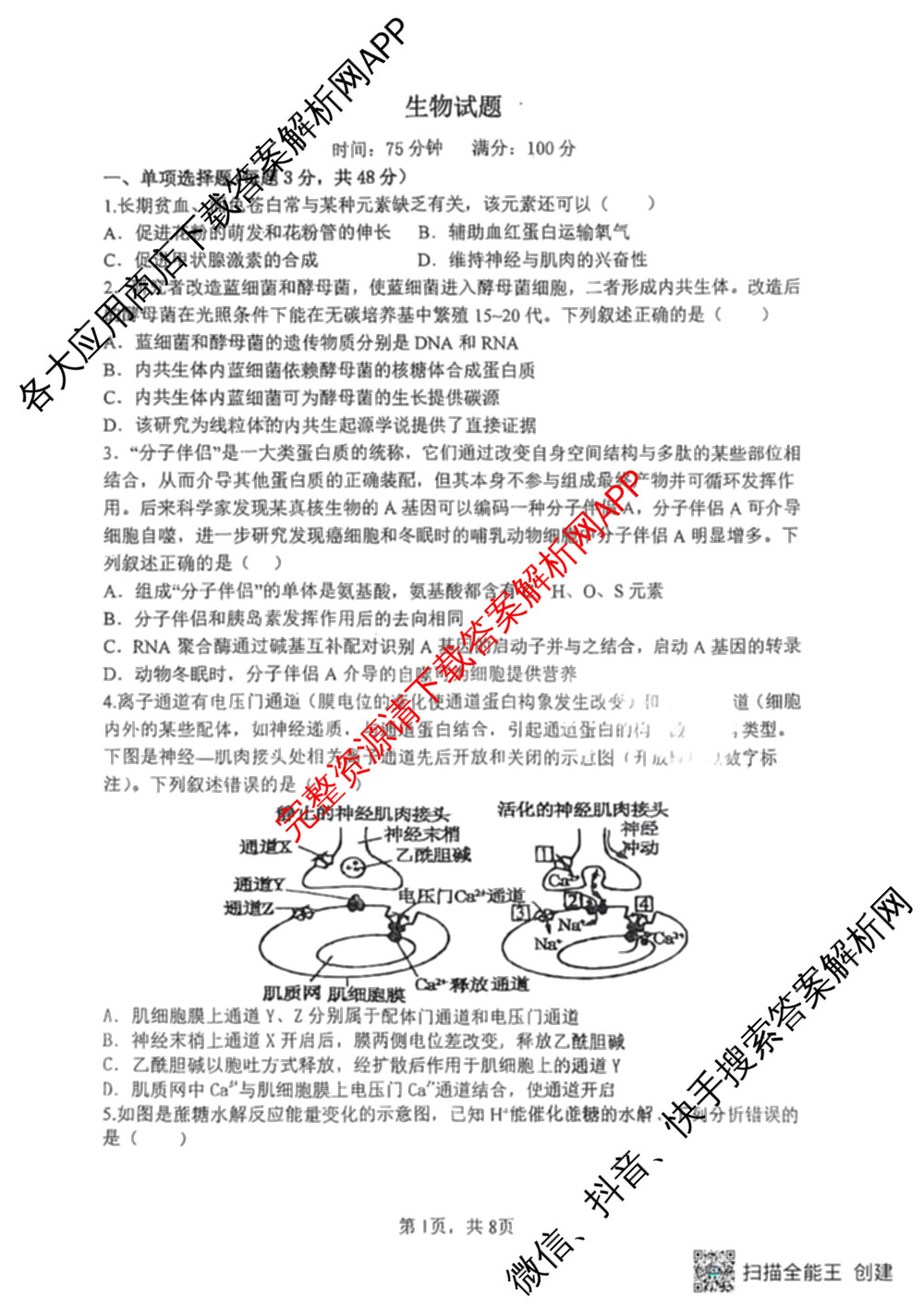 山西大学附中2025~2026学年第一学期高三10月模块诊断(总第五次)(含物理、历史、地理等9份)生物试题 山西大学附中2025~2026学年第一学期高三10月模块诊断(总第五次)(含物理、历史、地理等9份)生物试题