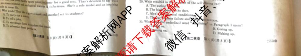 吉林省2024-2025学年高二期末考试试卷(25550B)（9科全）英语试题