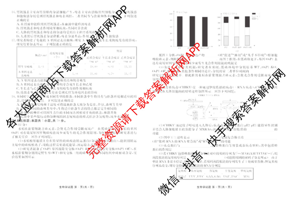 衡水金卷河北省2025-2026学年高三年级12月份联考试卷及答案汇总(已更新物理 化学(苏教版) 政治等11份)生物试题