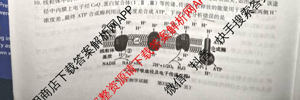 河南省信阳市2025-2026学年普通高中高三第一次教学质量检测各科答案及试卷: 含化学、历史、地理试卷解析生物试题