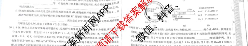 天一大联考2026届高考全真模拟卷(二)2试卷及答案汇总（含生物(湖南专版)、历史(河北专版)、日语等）生物试题