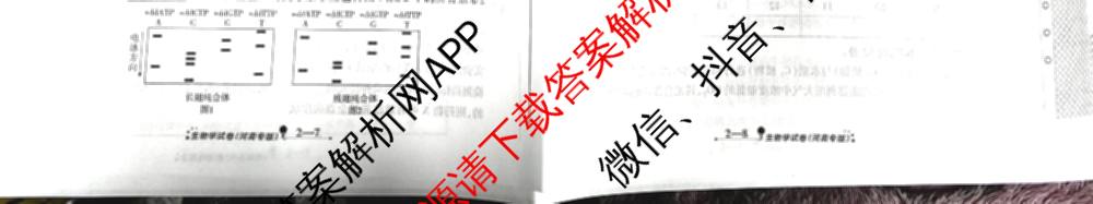 天一大联考2026届高考全真模拟卷(二)2试卷及答案汇总（含生物(湖南专版)、历史(河北专版)、日语等）生物试题