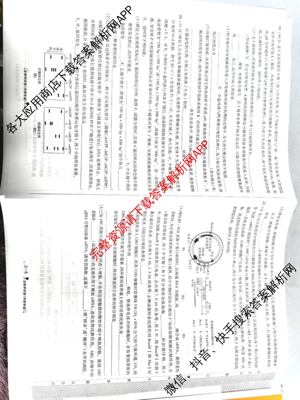 天一大联考2026届高考全真模拟卷(二)2试卷及答案汇总（含政治(湖南专版)、物理(山西专版)、生物(安徽专版)等）生物试题