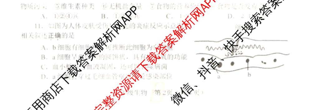 河南省2025-2026学年第一学期期中评估试卷B八年级各科答案及试卷（含道德与法治 语文 数学等）生物试题
