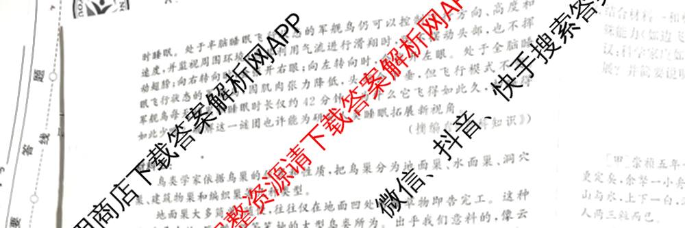 2026年安徽中考第一轮复专题(三)（7科全）语文试题