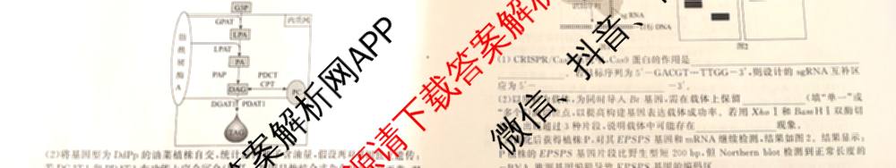 衡水真题密卷2025-2026学年度综合能力调研检测(五)5(已更新化学(6)、物理(1)、语文(A)等19份)生物试题