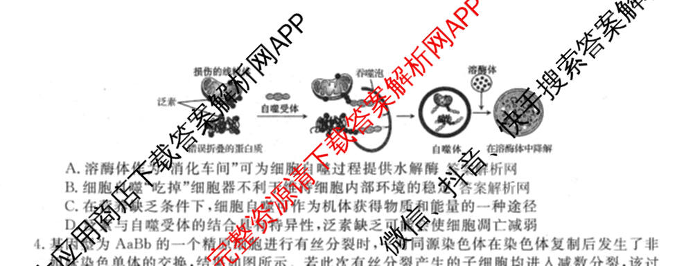 2026普通高等学校招生全国统一考试冲刺押题卷(四)4（含化学、地理(HNY)、物理等）生物试题