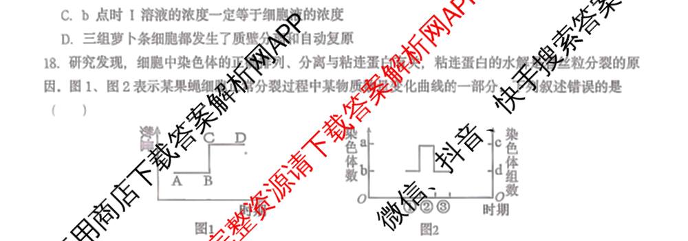 江苏省2025/2026学年度第一学期七校联盟第二次学情检测高三(2025.10)各科答案及试卷（含数学 物理 英语等）生物试题