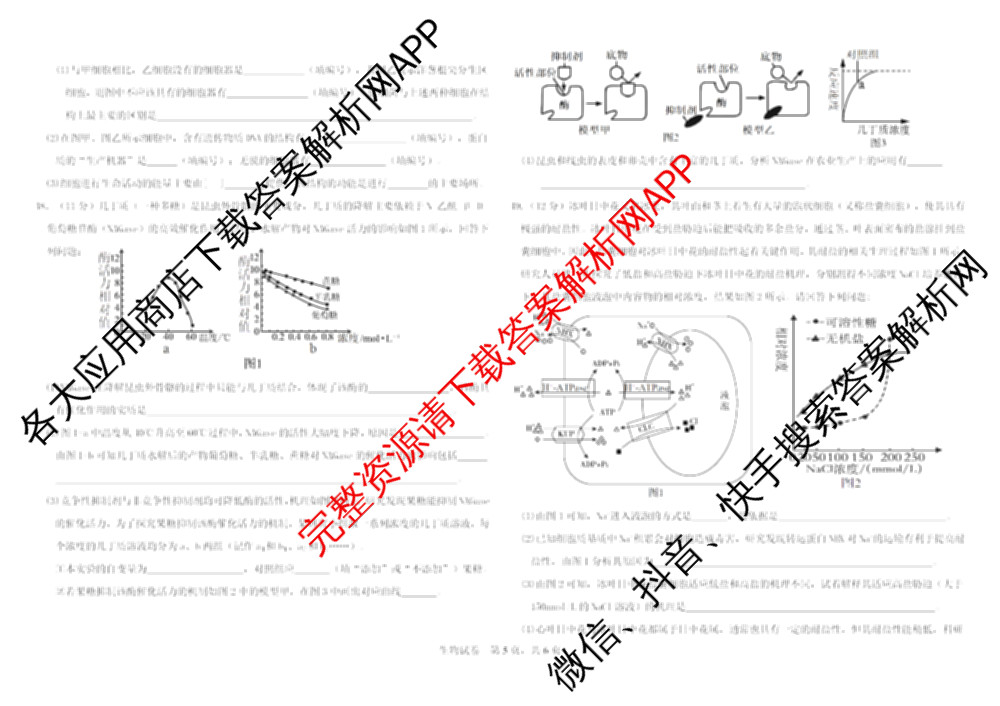 哈师大附中2025级2025-2026学年度第一学期期中考试（9科全）生物试题