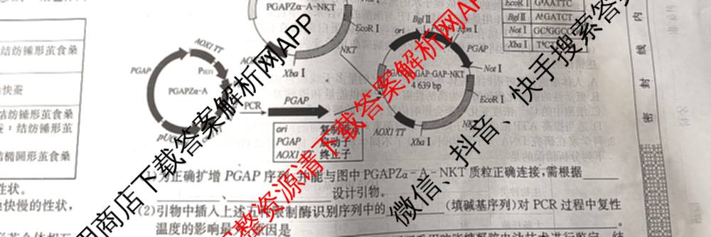2026年全国高考仿真模拟卷(四)4试卷及答案汇总（含地理(E3) 数学 化学(E2)等35份）生物试题