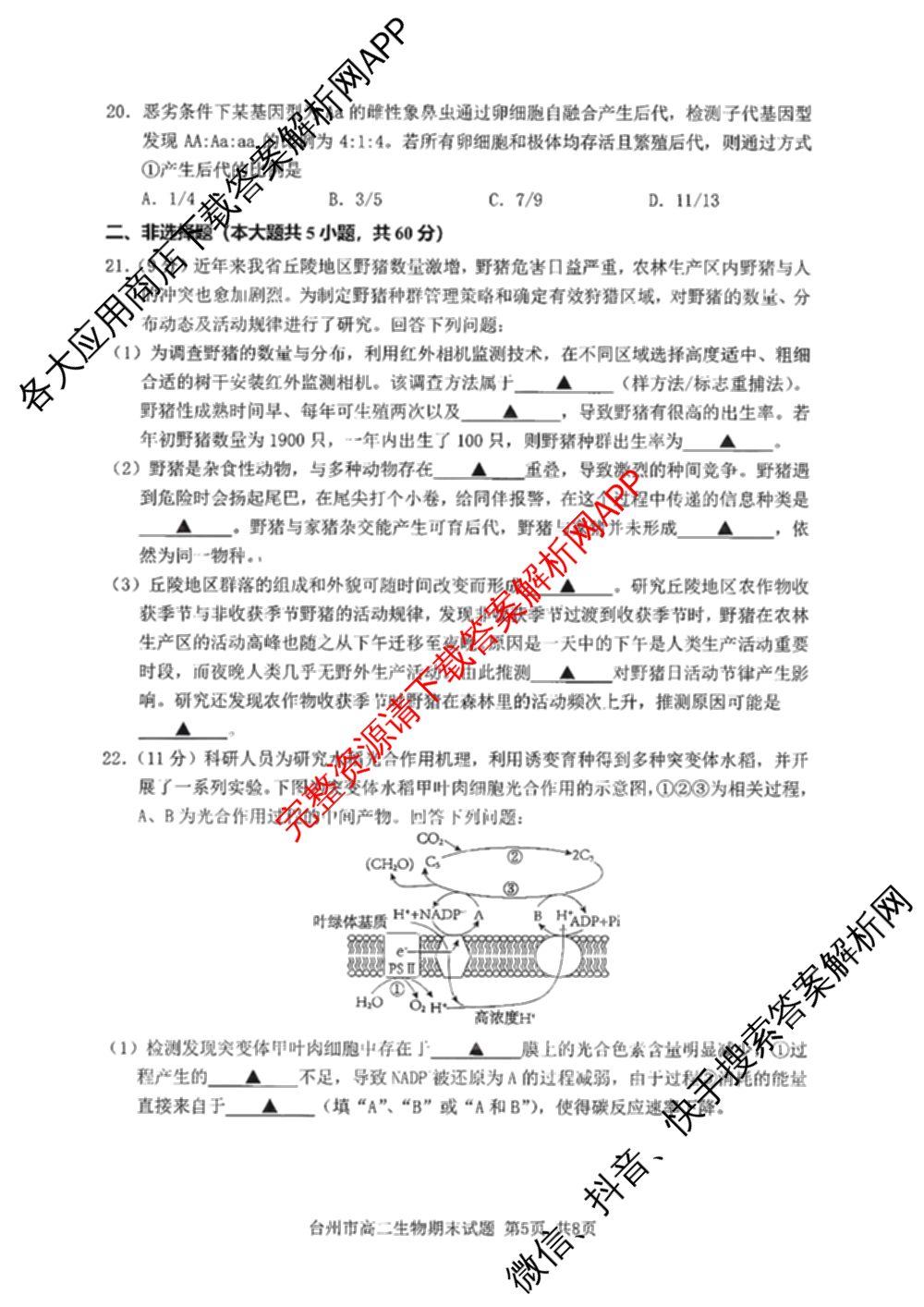 台州市2024学年第一学期高二年级期末质量评估: 含政治 技术 数学试卷解析生物试题