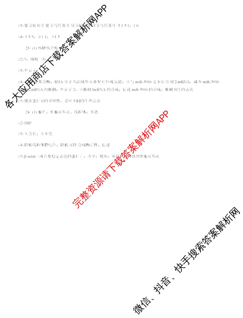 江苏省2025/2026学年度第一学期七校联盟第二次学情检测高三(2025.10)各科答案及试卷（含数学 物理 英语等）生物答案