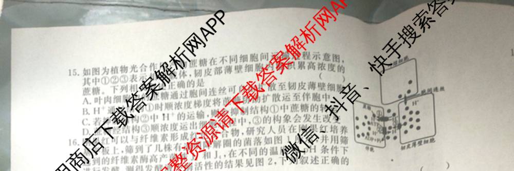 2026届高三总复名师原创模拟(四)4各科答案及试卷（39科全）生物试题
