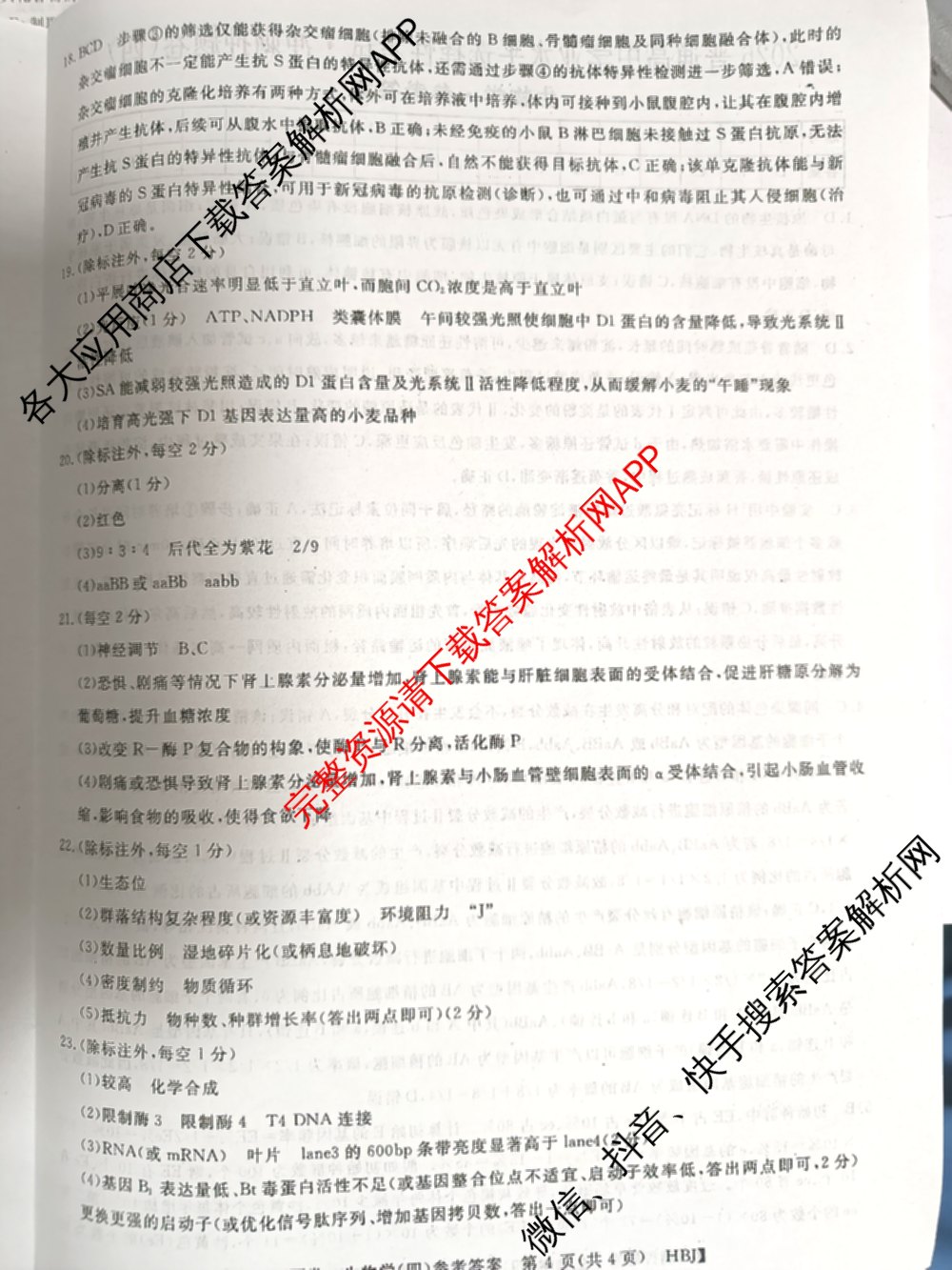 2026普通高等学校招生全国统一考试冲刺押题卷(四)4（含化学、地理(HNY)、物理等）生物答案