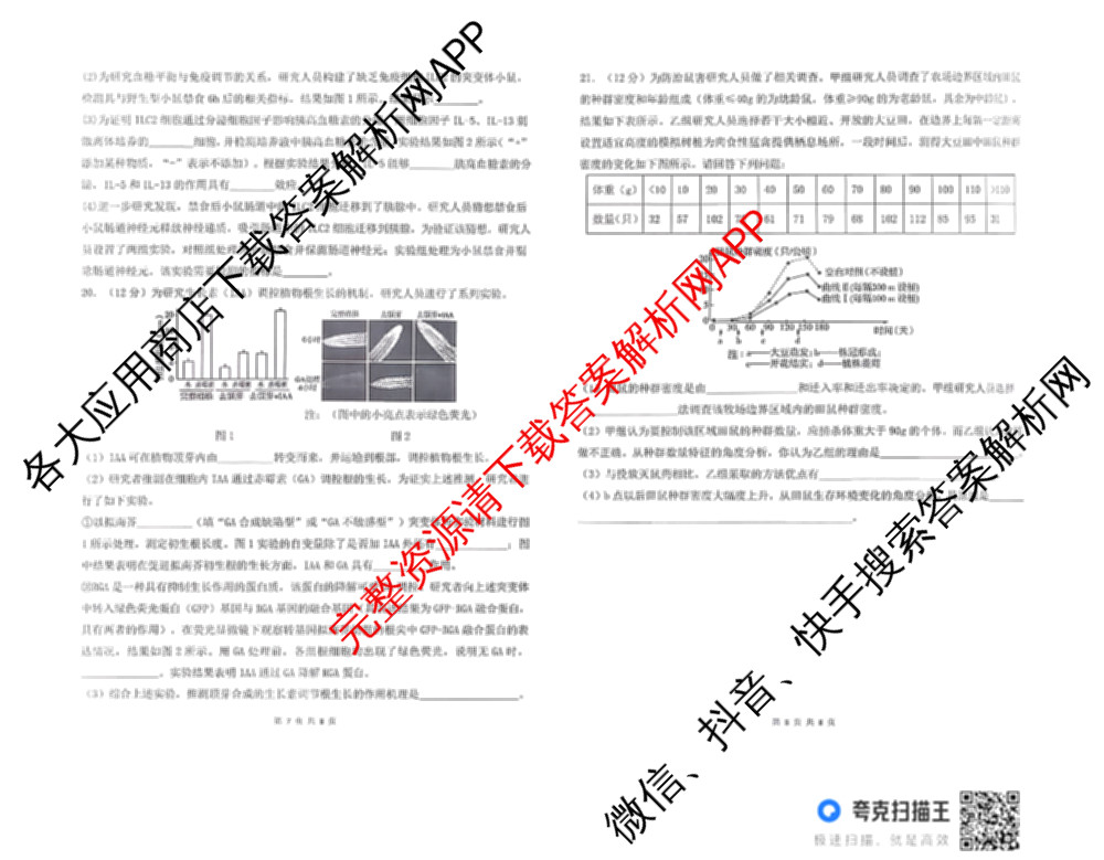 雅礼教育集团2025年下学期期中考试试卷高二试卷及答案汇总: 含物理、生物、语文试卷解析地理试题