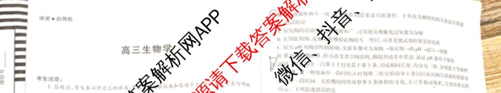 天一大联考2025-2026学年(上)湘一名校联盟高三检测(三)试卷及答案汇总(含历史 政治 语文等)生物试题 天一大联考2025-2026学年(上)湘一名校联盟高三检测(三)试卷及答案汇总(含历史 政治 语文等)生物试题