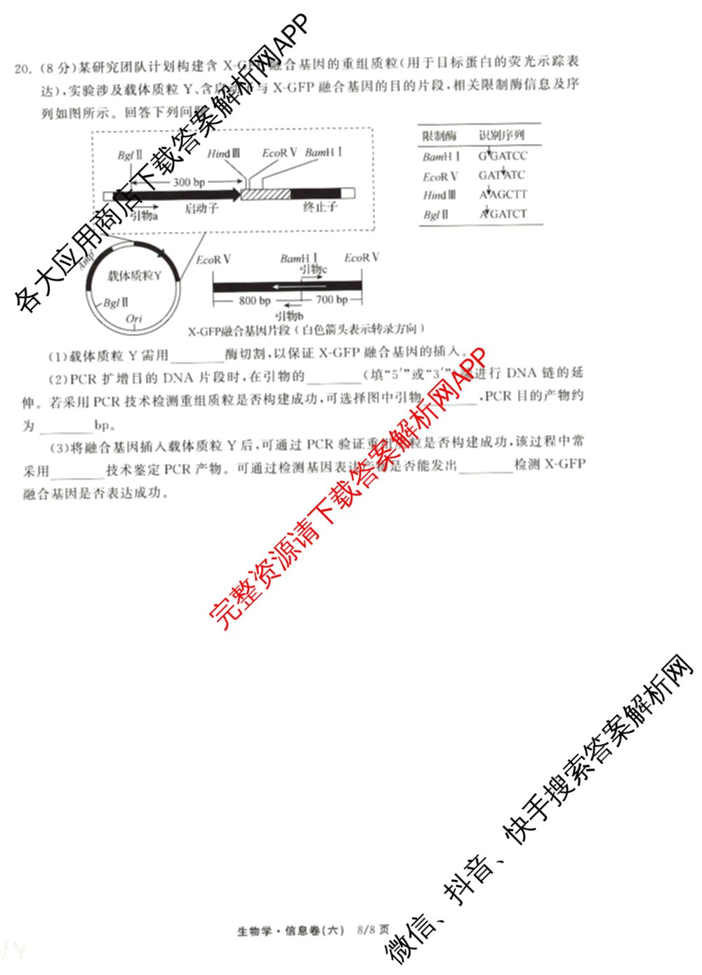 天舟高考衡中同卷2026年普通高等学校招生全国统一考试模拟信息卷(六)6（含化学(山东版)、政治(DB)、物理(山东版)等35份）生物试题