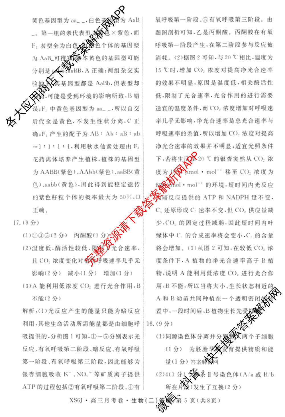 名校联考2026届高三总复月考卷(二)2各科答案及试卷(含语文(XS6G) 化学(XS6J) 历史(XS6J)等)生物答案 名校联考2026届高三总复月考卷(二)2各科答案及试卷(含语文(XS6G) 化学(XS6J) 历史(XS6J)等)生物答案