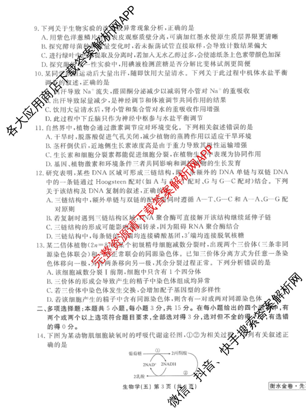 衡水金卷先享题调研卷2026年普通高等学校招生全国统一考试模拟试题(五)5各科答案及试卷（91科全）生物试题
