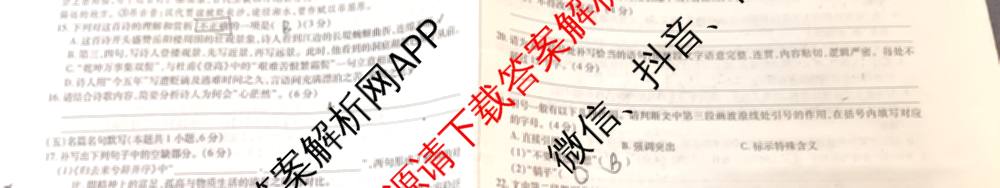 2025年陕西省高三教学质量检测(四)各科答案及试卷（含化学 历史 语文等）语文试题