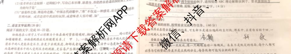 2025年陕西省高三教学质量检测(四)各科答案及试卷（含化学 历史 语文等）语文试题