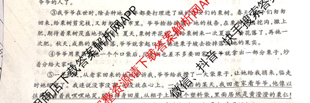 陕西省2025-2026学年度第一学期期中教学质量调研评估(X)七年级（含道德与法治 语文 英语等）语文试题