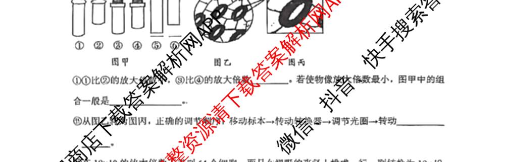 湖南省娄底四中2025年下期高一第一次月考各科答案及试卷(已更新物理、政治、语文等9份)生物试题