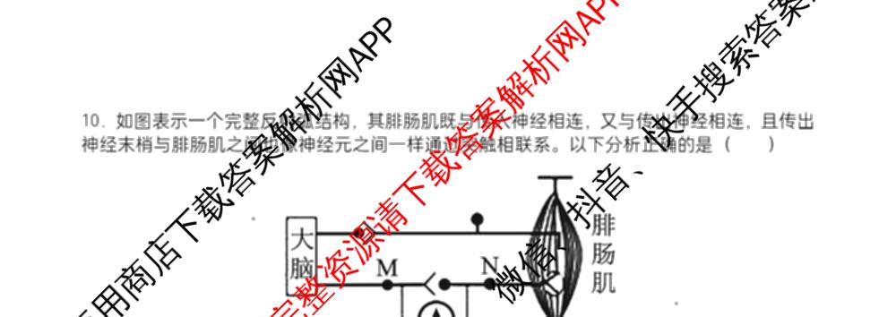 字节精准教育联盟MYS高中2023级第一次诊断性考试模拟试题试卷及答案汇总: 含化学 地理 生物试卷解析生物试题 字节精准教育联盟MYS高中2023级第一次诊断性考试模拟试题试卷及答案汇总: 含化学 地理 生物试卷解析生物试题