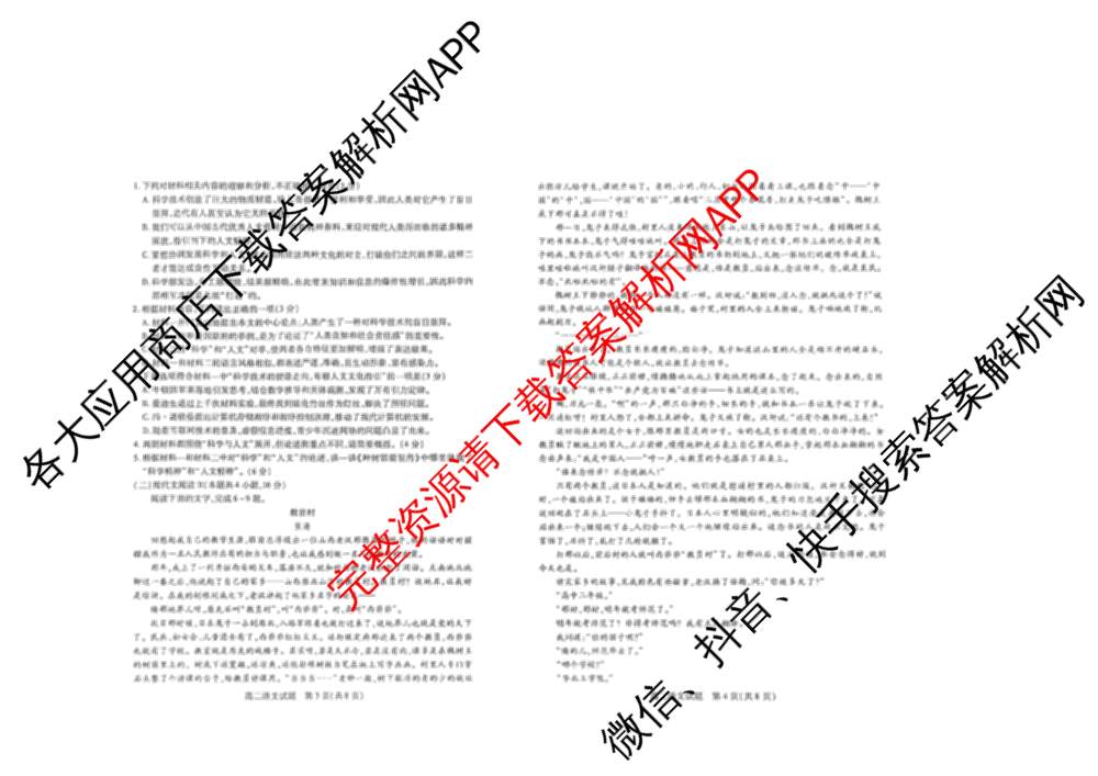 山西省运城市2024-2025学年高二第二学期期末调研测试(2025.7)（含历史、政治、英语等9份）语文试题