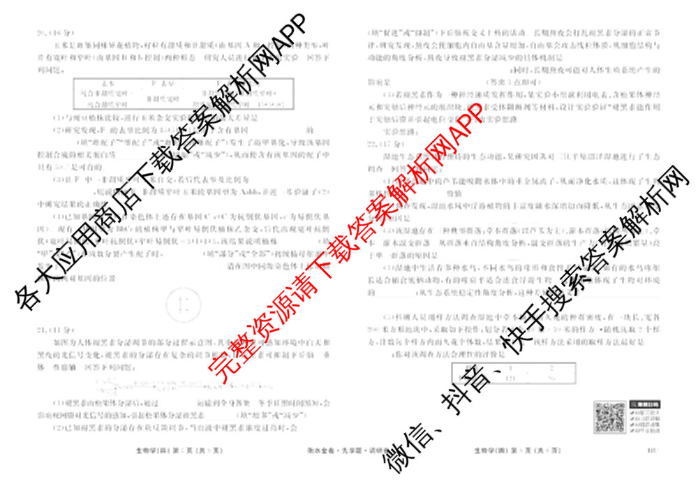 衡水金卷先享题调研卷2026年普通高等学校招生全国统一考试模拟试题(四)4(已更新生物(山东专版) 理综 历史(JS)等91份)生物试题