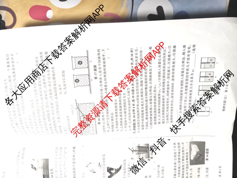 2026年安徽中考第一轮复专题(五)（含数学 物理 语文等）物理试题