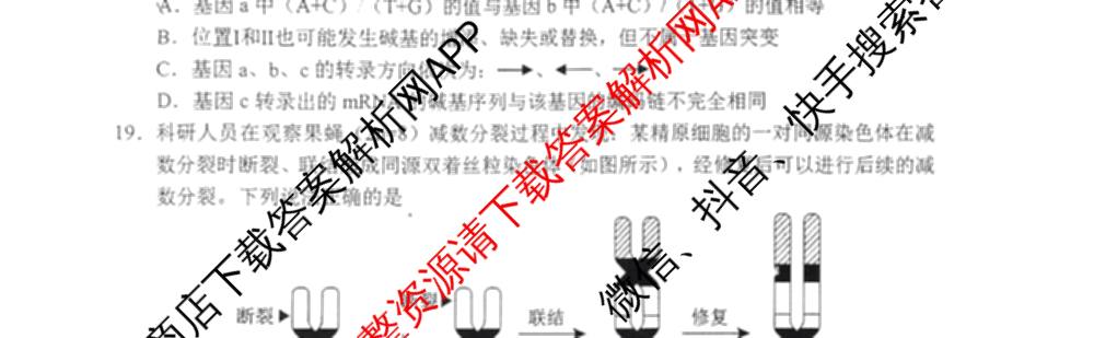 山东省菏泽市2024-2025学年高一下学期教学质量检测(2025.07)各科答案及试卷(已更新政治 化学 历史等9份)生物试题